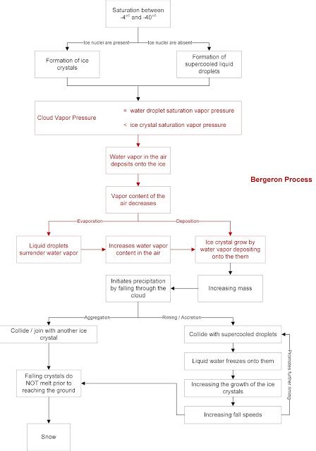 Brandi's Buzzar Blog: The Bergeron Process