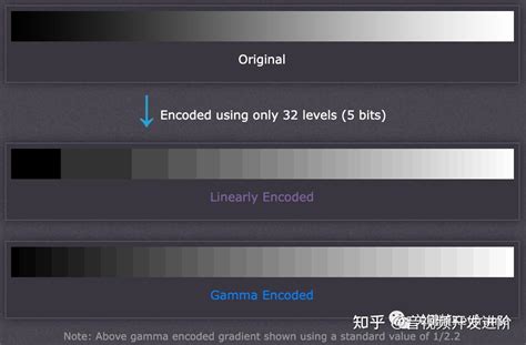 这次把伽马校正讲清楚丨音视频基础 知乎