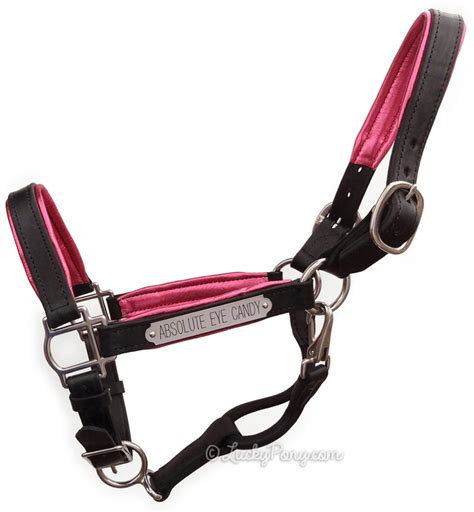 Luxury Padded Leather Horse Halter Custom Engraved Usa Made