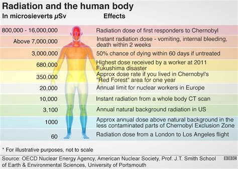 Chernobyl Radiation Dose