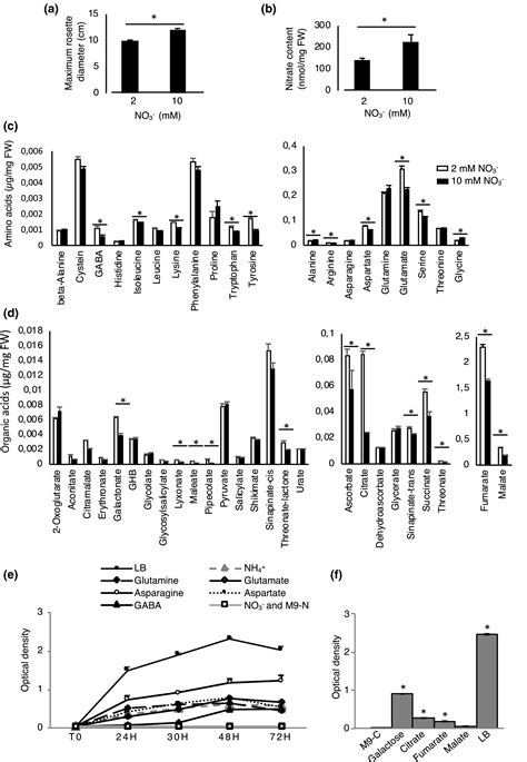 Plant Nitrate Supply Regulates Erwinia Amylovora Virulence Gene