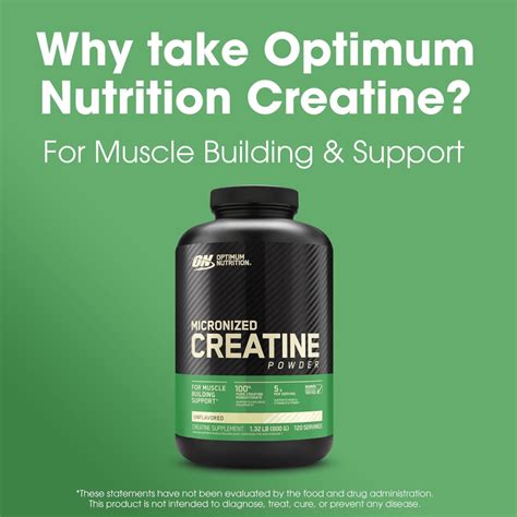 Buy Optimum Nutrition Creatine Powder G Online At Best Price In The