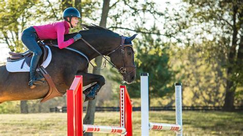 Horse Feed For Sport Horses – Cavalor Direct