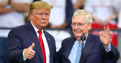 Mitch McConnell speaks and shakes Donald Trump’s hand at ‘positive ...