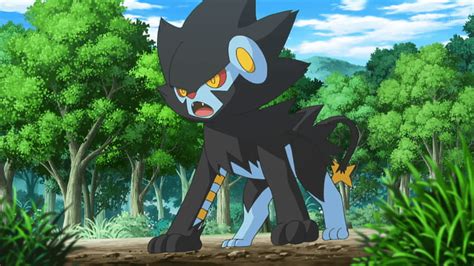 Clemont S Luxray Luxio Hd Wallpaper Pxfuel