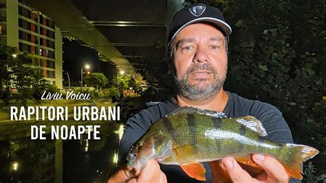 Pescuit La Rapitori Urbani Street Fishing Cu Montura Drop Shot