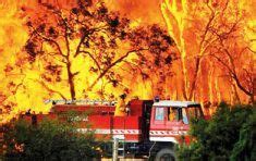 Al Menos Muertos En Los Peores Incendios De La Historia De