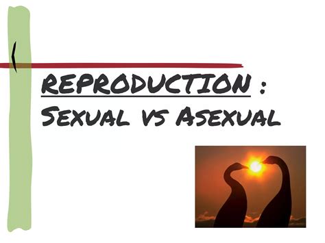 Sexual Reproduction And Meiosispptpdf