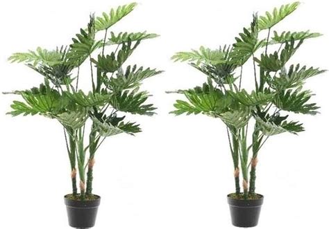 2x Groene Philodendron Monstera Gatenplant Kunstplant 100 Cm In Zwarte