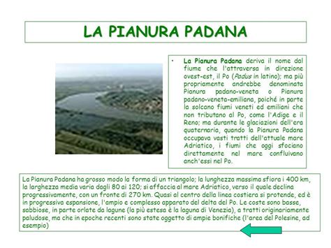 Ritiro Pellicce Usate Veneto Ricerca Scuola Primaria Pianura Padana