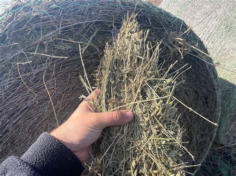 Rollos De Alfalfa Pura Agroads