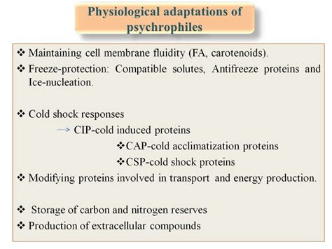 molecular adaptations to psychrophily: insights into omic methods