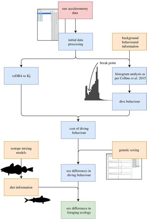 Conceptual Diagram Of A Methodology For Data Processing And The Steps Download Scientific