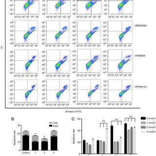 Effect Of Low Dose Aspirin And MAPK Inhibitors On The Apoptosis Of PC 9