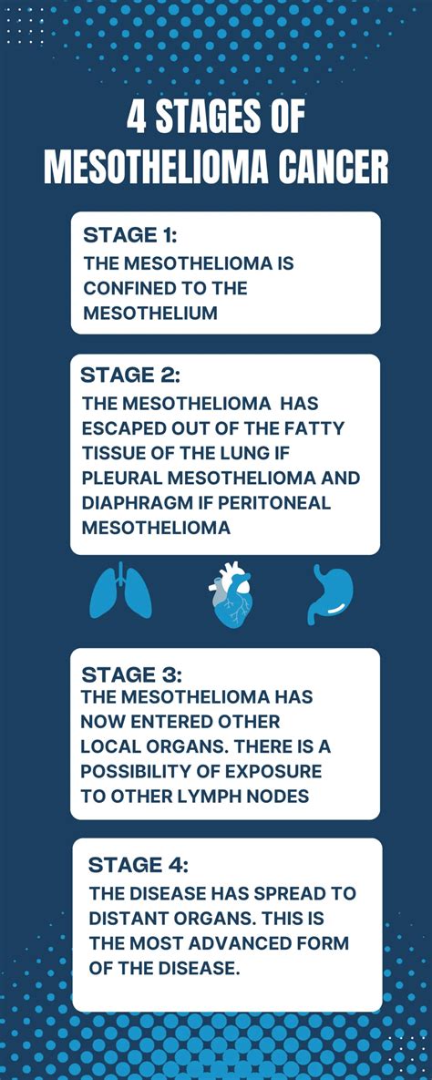 What Are The Stages Of Mesothelioma The Halpern Law Firm