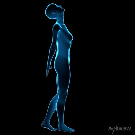 Holographic X Ray Naked Woman Mannequin In A Freedom Pose Looking