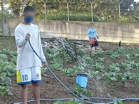 Adolescentes Do Casep De Rio Do Sul Produzem O Pr Prio Alimento