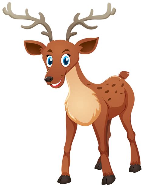 Cute Deer Standing On White Background 370026 Vector Art At Vecteezy