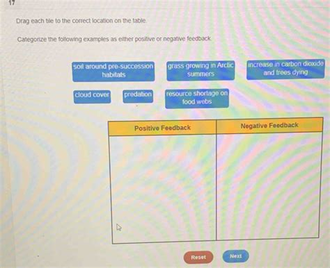 17 Drag Each Tile To The Correct Location On The Table Categorize The