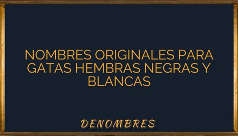 Nombres Originales Para Gatas Hembras Negras Y Blancas Denombres Info