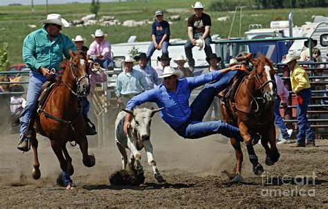 Rodeo Steer Wrestling Photograph By Bob Christopher Pixels