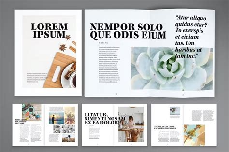 50+ Best InDesign Magazine Templates 2023 (Free & Premium) - Gold Coast Business Websites