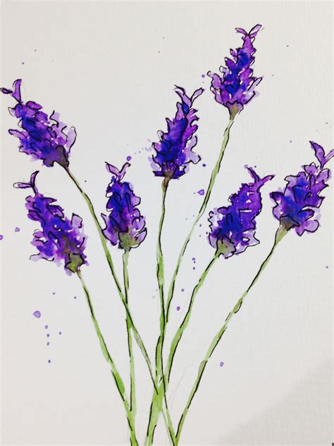 French Lavender Original Watercolour Painting By Amanda Williams