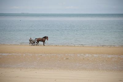 Federa Per Piumoni D Day Spiagge Della Normandia Francia PIXERS IT