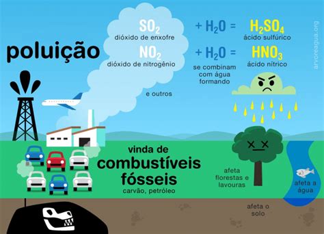 Ci Ncias Da Natureza Por Que O Solo Essencial Vida Conex O