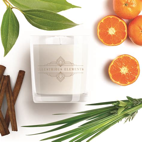 New Earth Scent Candle Illustrious Elements Collection Halcyon