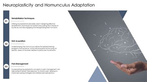 Neuroplasticity And Homunculus Adaptation Ppt Slides St Ai Ss Ppt Example