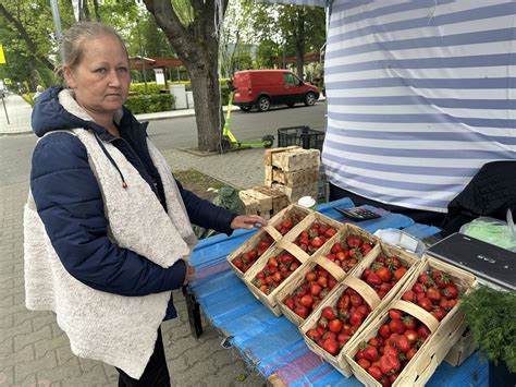 Sezon na truskawki już trwa Jakie są ceny w Bełchatowie Zobaczcie na