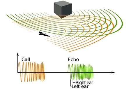 Ultrasound Piezoelectric Transducer