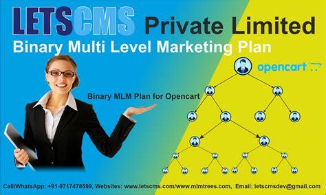 Best Mlm Plan Binary Multi Level Marketing Plan Ecommerce Bmp Mlm