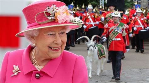 La Historia De La Cabra Real Que Acompañará A La Reina Isabel Ii En Su