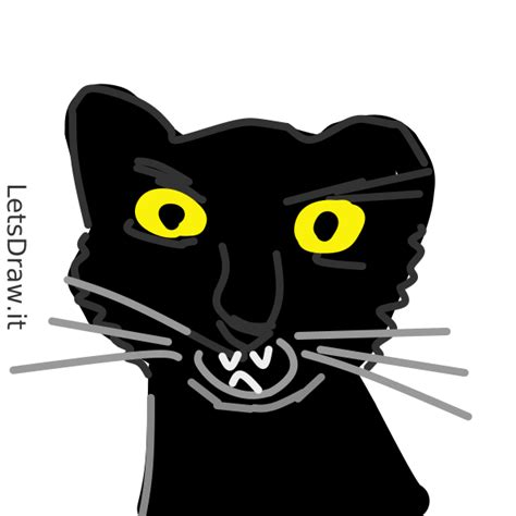 draw panther isbdjcnpng letsdrawit