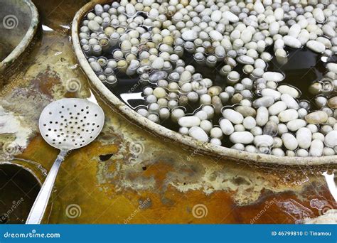 Silkworm Cocoons In Process To Get Silk Turkey Stock Photo Image Of