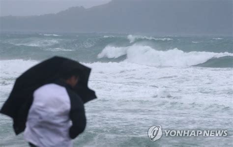 태풍 카눈 제주도 전역 오후 10시 태풍경보한라산 초속 24m 강풍 나무뉴스