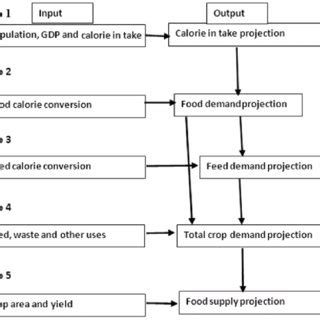 Framework Used For Estimating Projection Of Food Demand And Supply