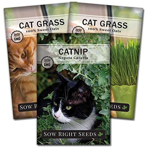 Top 10 best selling list for cat garden seeds - Best Family Pets