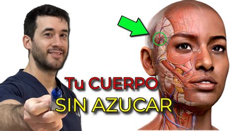 14 DÍAS sin AZÚCAR para SANAR tu CUERPO COMO DEJARLA YouTube