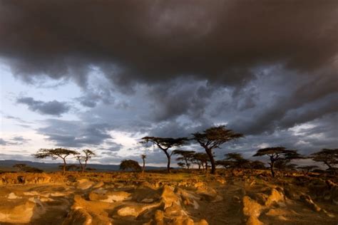 Bale Mountains Trekking Nakuto Lab Ethiopia Tour