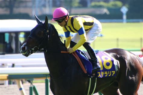 福島牝馬s ステラリア、ビッグリボン、ストーリア。今後の飛躍を誓う素質馬が集結した牝馬重賞。 重賞プレビュー ウマフリ 競馬