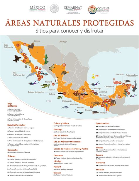 Mapa Conoce Las 36 Áreas Naturales Protegidas Que Puedes Visitar