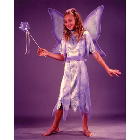 Costumes For All Occasions Watercolor Fairy Child Sml Costume, Small 4 ...