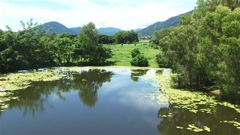 shot natural greenery australia Stock Footage Video (100% Royalty-free ...