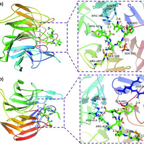 Molecular Docking Models Of Interactions Between Identified Peptides