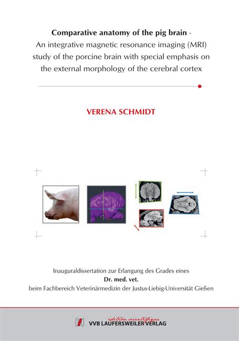Comparative Anatomy Of The Pig Brain Docslib
