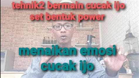 Cara Menaikan Emosi Cucak Ijo Versi Set Bentuk Power Youtube