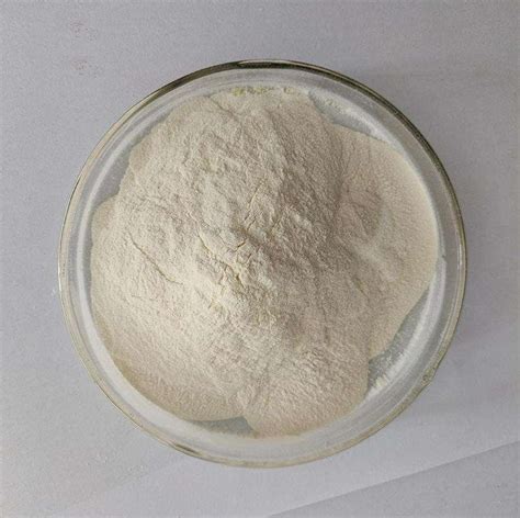 Xanthan Gum CAS 11138 66 2 Across Biotech